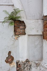 Close-up of weathered wall