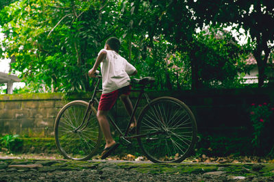 Rear view of man riding bicycle against plants