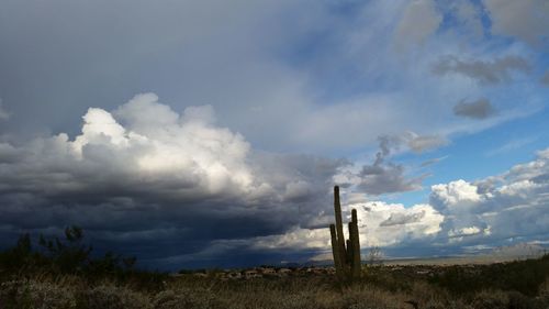 Scenic view of field against sky