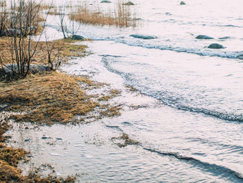 Scenic view of trees during winter