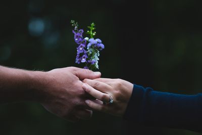 Midsection of couple holding purple flowering plant