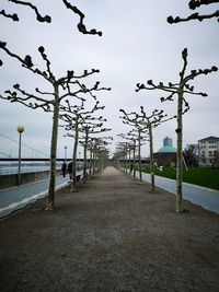 Street lights by footpath in city against sky