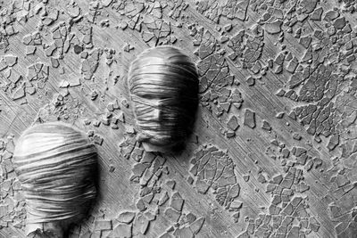 High angle view of insect on stone