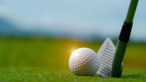 Golf ball on grass