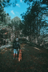 Rear view of man with dog standing in forest