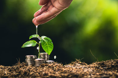 Cropped hand of person watering plant by stacked coins on field