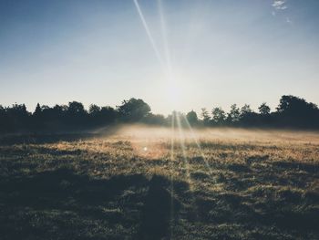 Sunlight streaming through trees on field against bright sun