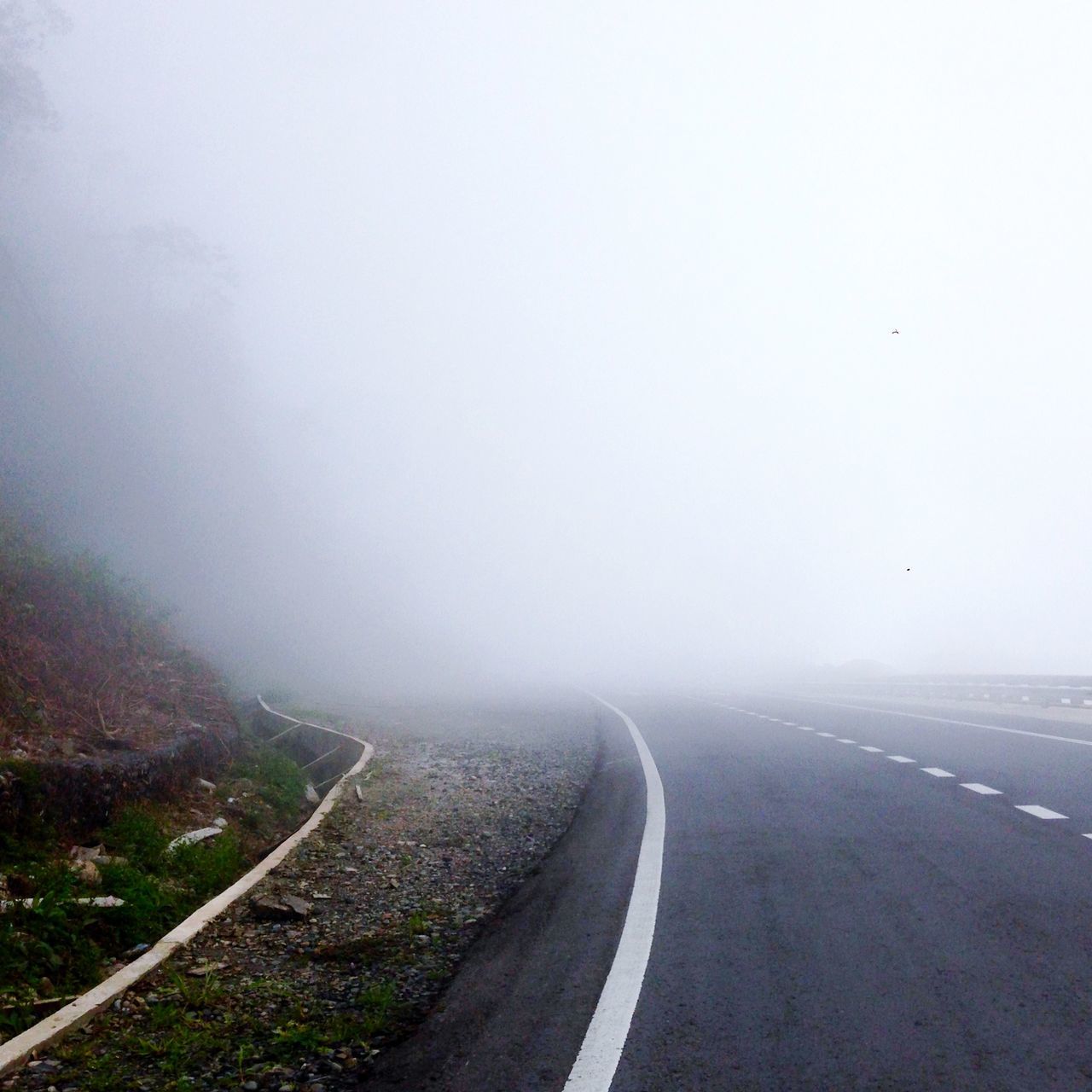 fog, the way forward, foggy, transportation, road, diminishing perspective, copy space, vanishing point, weather, landscape, tranquility, tranquil scene, sky, road marking, nature, day, empty, scenics, no people