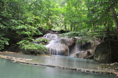Scenic view of waterfall in forest