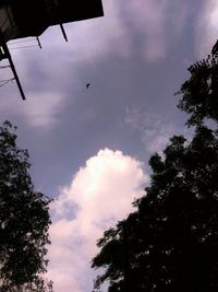 Low angle view of silhouette trees against sky