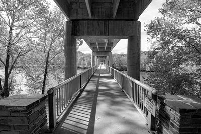 Low angle view of bridge against trees