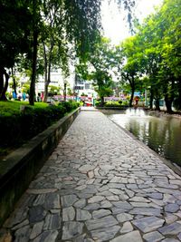 Cobblestone street amidst trees in city