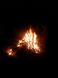 Bonfire at night