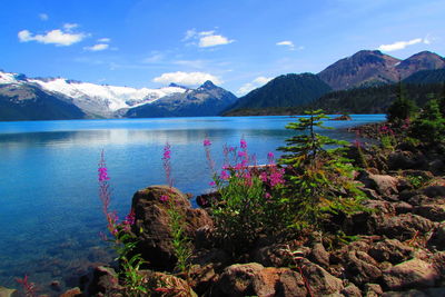 Scenic view of lake against sky