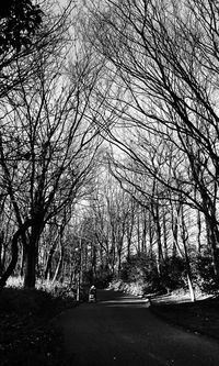 Road amidst bare trees against sky