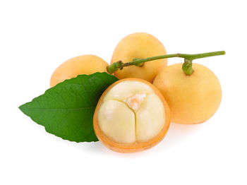 Close-up of oranges against white background