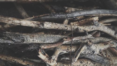 Close up of wood