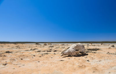 Surface level of a desert