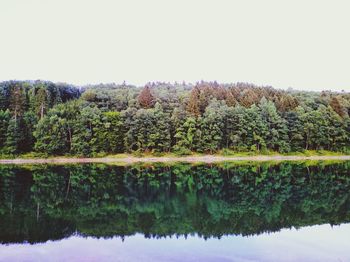 Reflection of trees in lake against sky