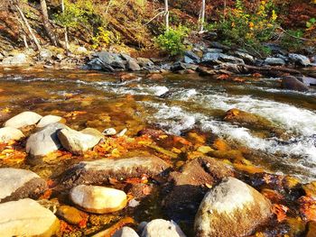 River flowing through rocks in forest