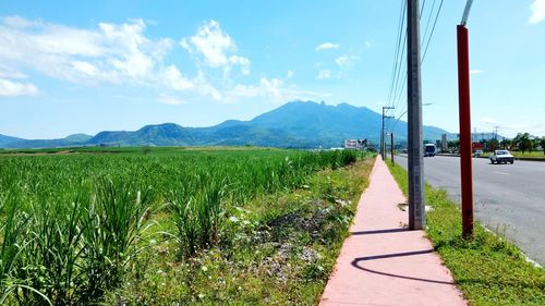 Road amidst field against sky