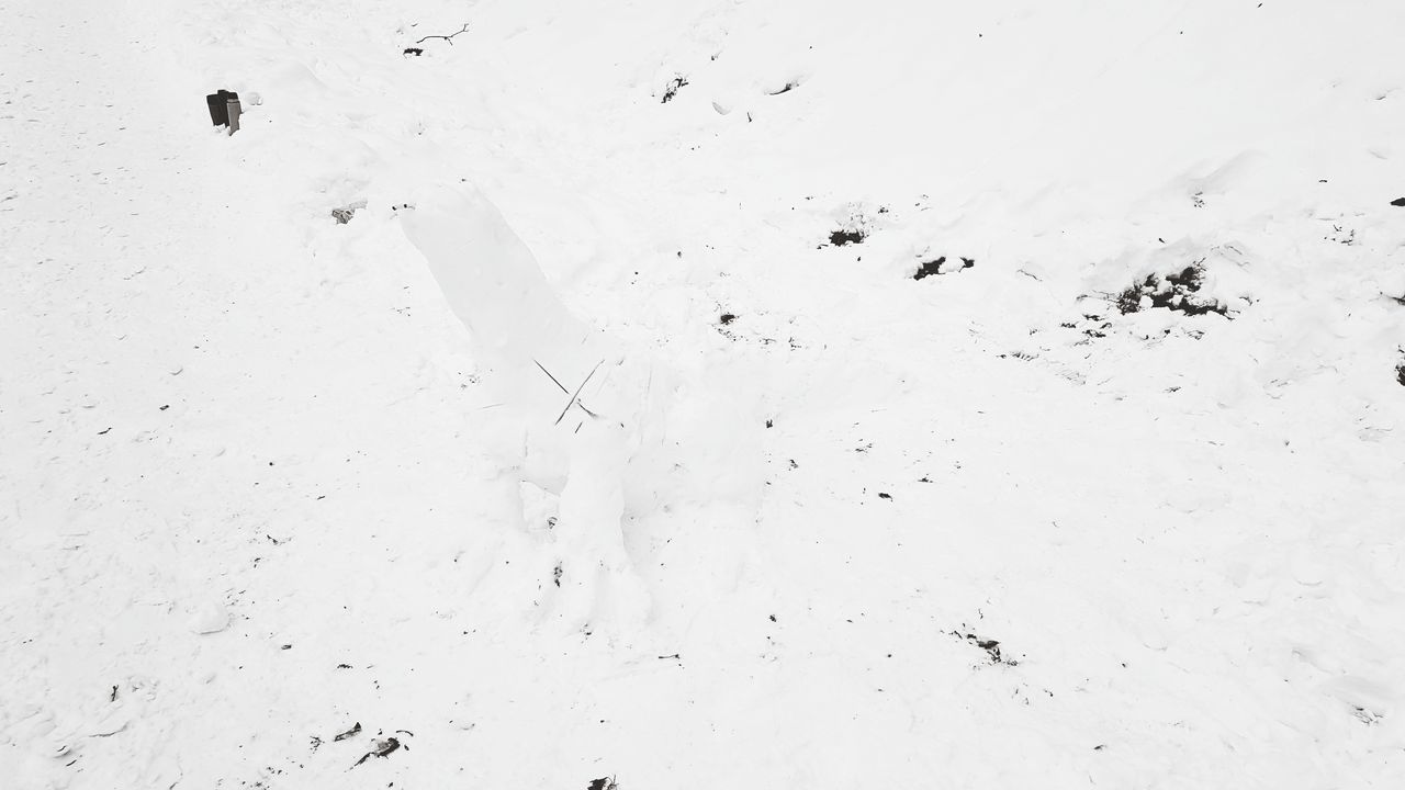 FULL FRAME SHOT OF SNOW ON LAND