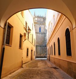 Alley amidst buildings in city