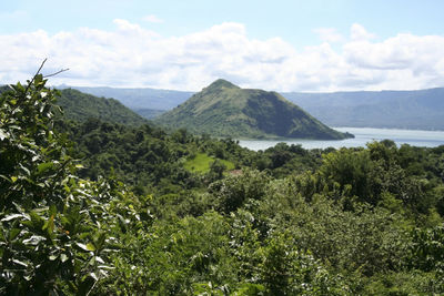 Scenic view of trees and mountains against sky