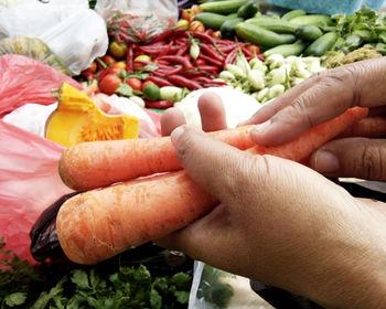 Close-up of man holding vegetables