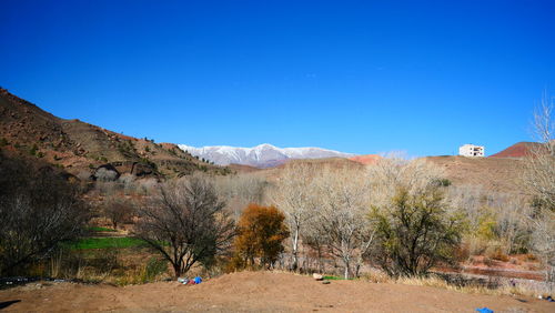 Scenic view of field against clear blue sky