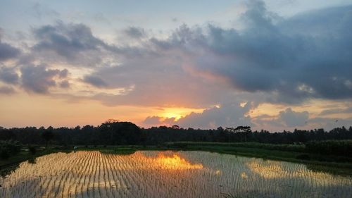 Scenic view of agricultural field against sky during sunset