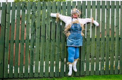 Scarecrow hanging on wooden fence