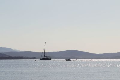 Sailboats sailing in sea against clear sky