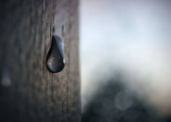 Close-up of wet metal against wall