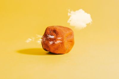 Close-up of object over white background