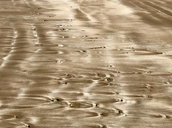 Full frame shot of rippled water