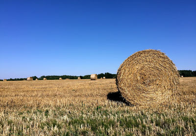 Scenic view of field against clear sky