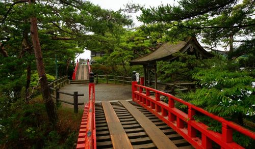 Boardwalk leading towards shrine