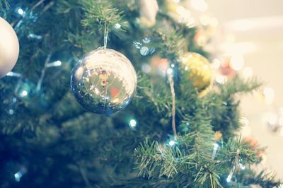 Close-up of illuminated christmas tree