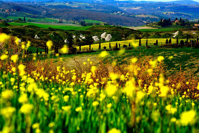 Scenic view of field against cloudy sky