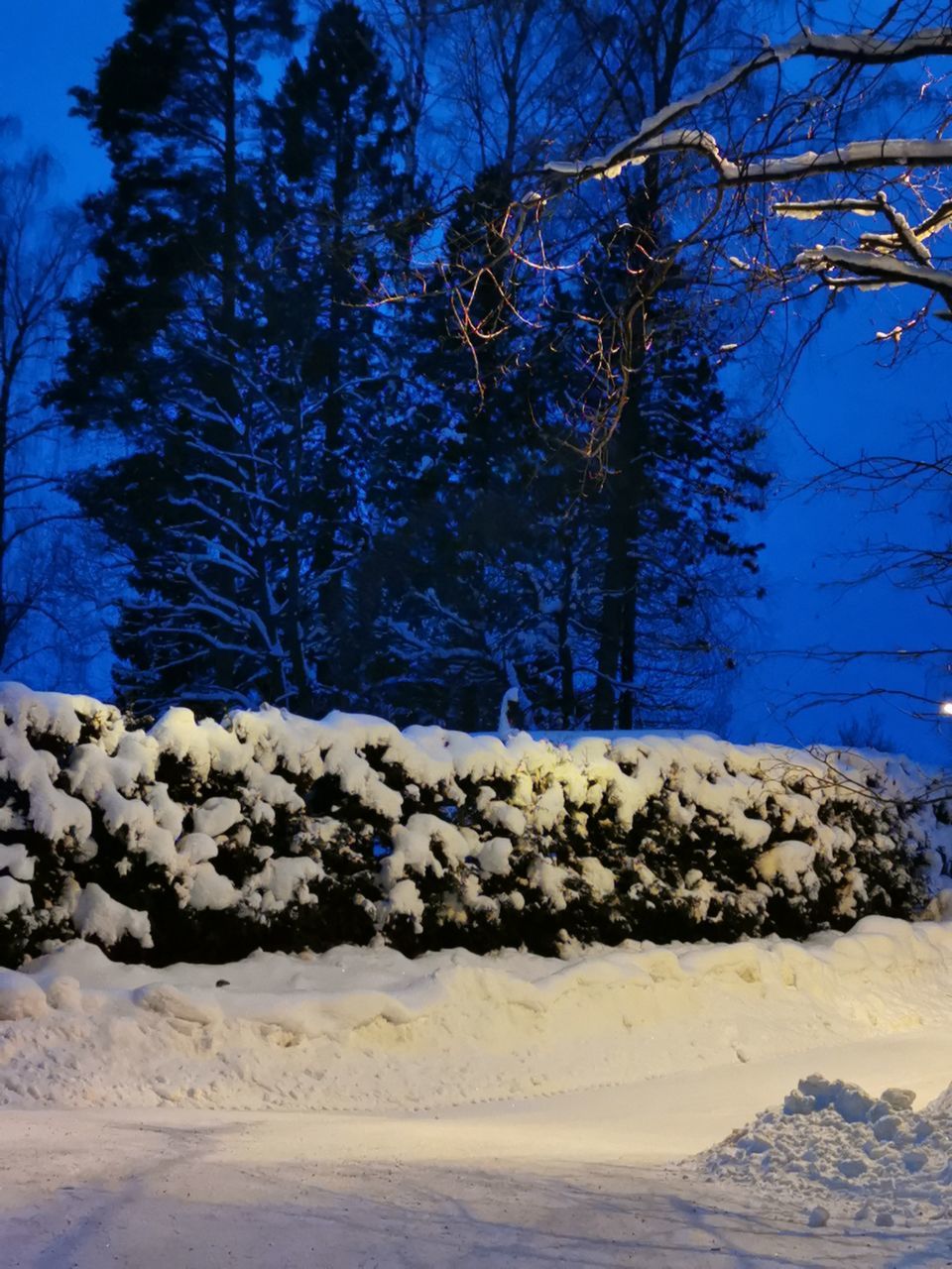 SNOW COVERED FIELD AGAINST SKY