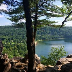 Scenic view of lake against trees