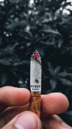 Close-up of hand holding cigarette against blurred background