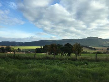 Scenic view of field against cloudy sky