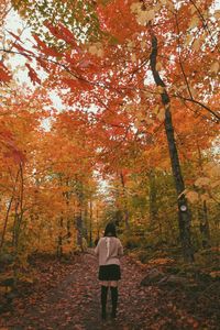 Rear view of man standing by trees in forest during autumn