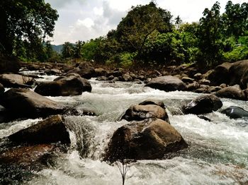 Scenic view of waterfall against rocks in forest