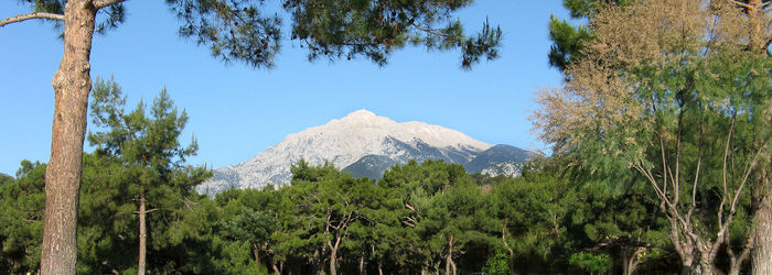 Panoramic view of trees and mountains against sky