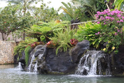 Scenic view of waterfall against trees