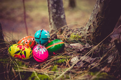 Close-up of easter eggs in forest