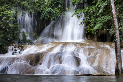 Scenic view of waterfall in forest